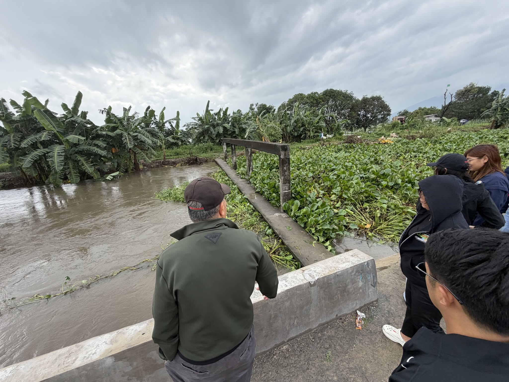 Officials inspect thick water hyacinths clogging the Matubig Creek check gate in Barangay San Agustin, Santa Ana, after prolonged rain.